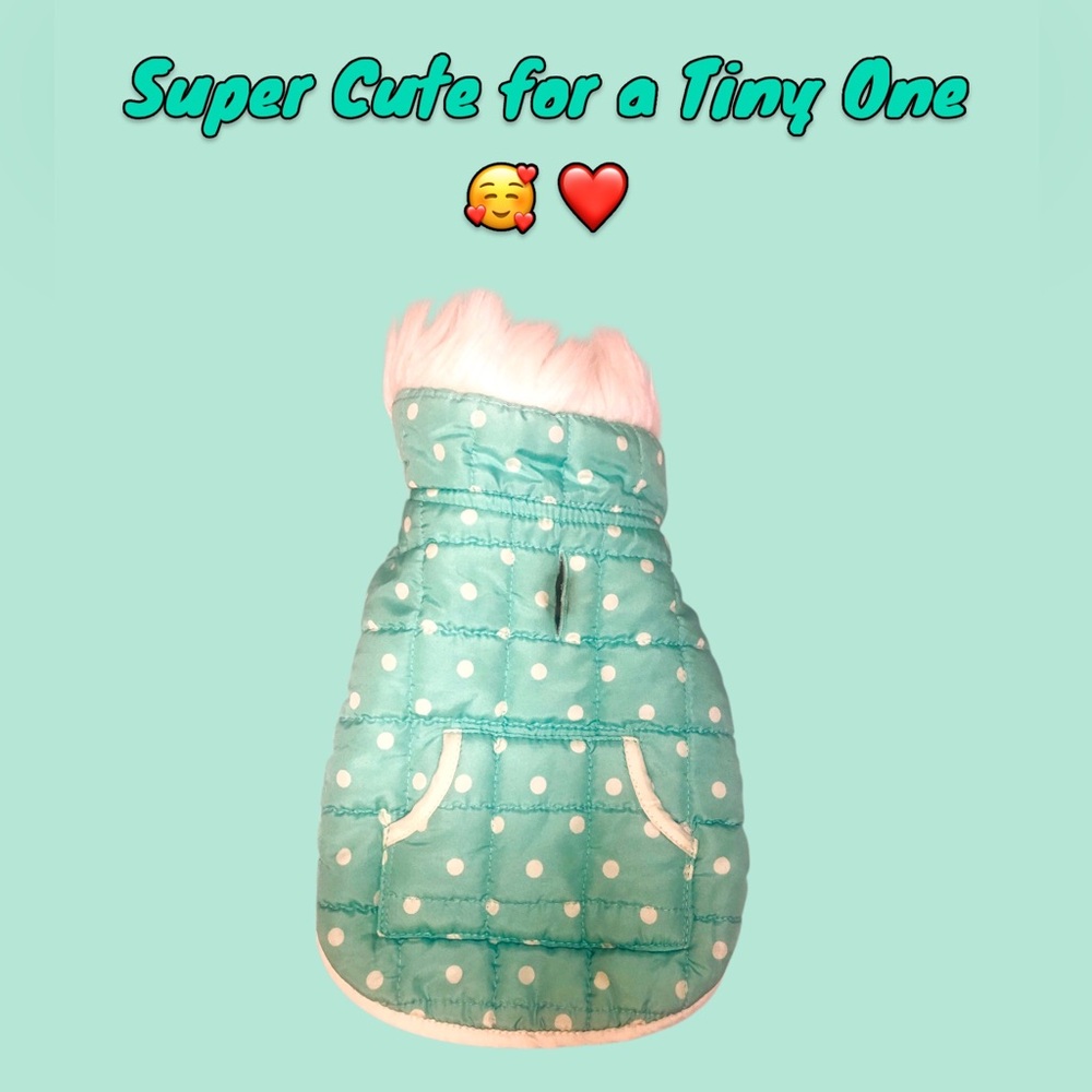Green & White Polka Dot Dog Puffer Jacket